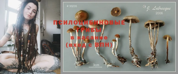 ГАЛЛЮЦИНОГЕННЫЕ ГРИБЫ Снежногорск